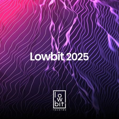 Lowbit 2025 artwork